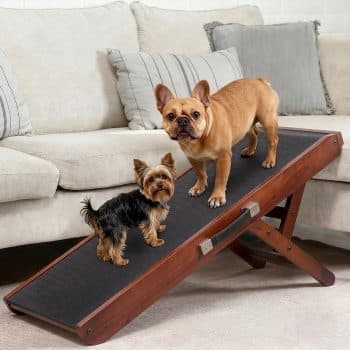 Dog Ramp for Couch – Non-Slip