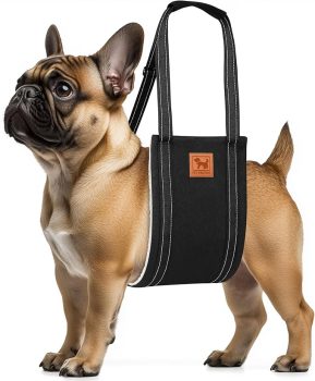 Dog Lift Harness