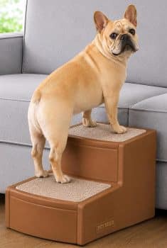 Pet Gear Easy Step II Pet Stairs