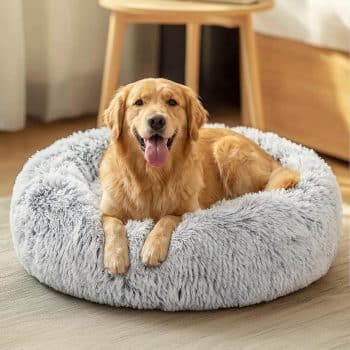 JOLLYVOGUE Dog Beds Large Sized Dog