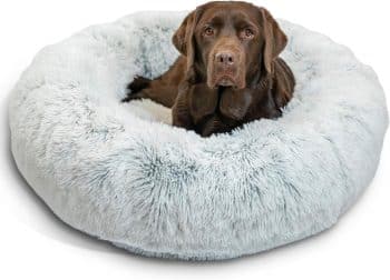 Best Friends by Sheri Original Calming Donut Dog Bed