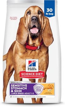 Hill's Science Diet Adult Sensitive Stomach & Skin Large Breed Dry Dog Food