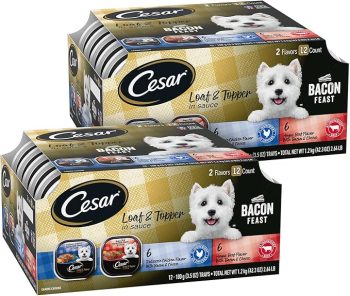 Cesar Loaf & Topper in Sauce Wet Dog Food