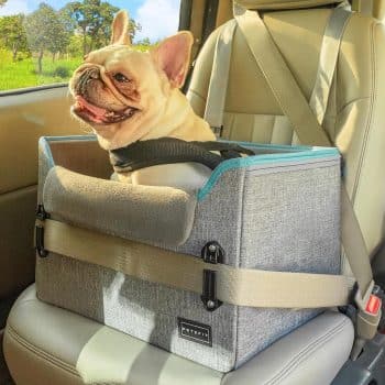 
PETSFIT Dog Car Seats for Small Dogs