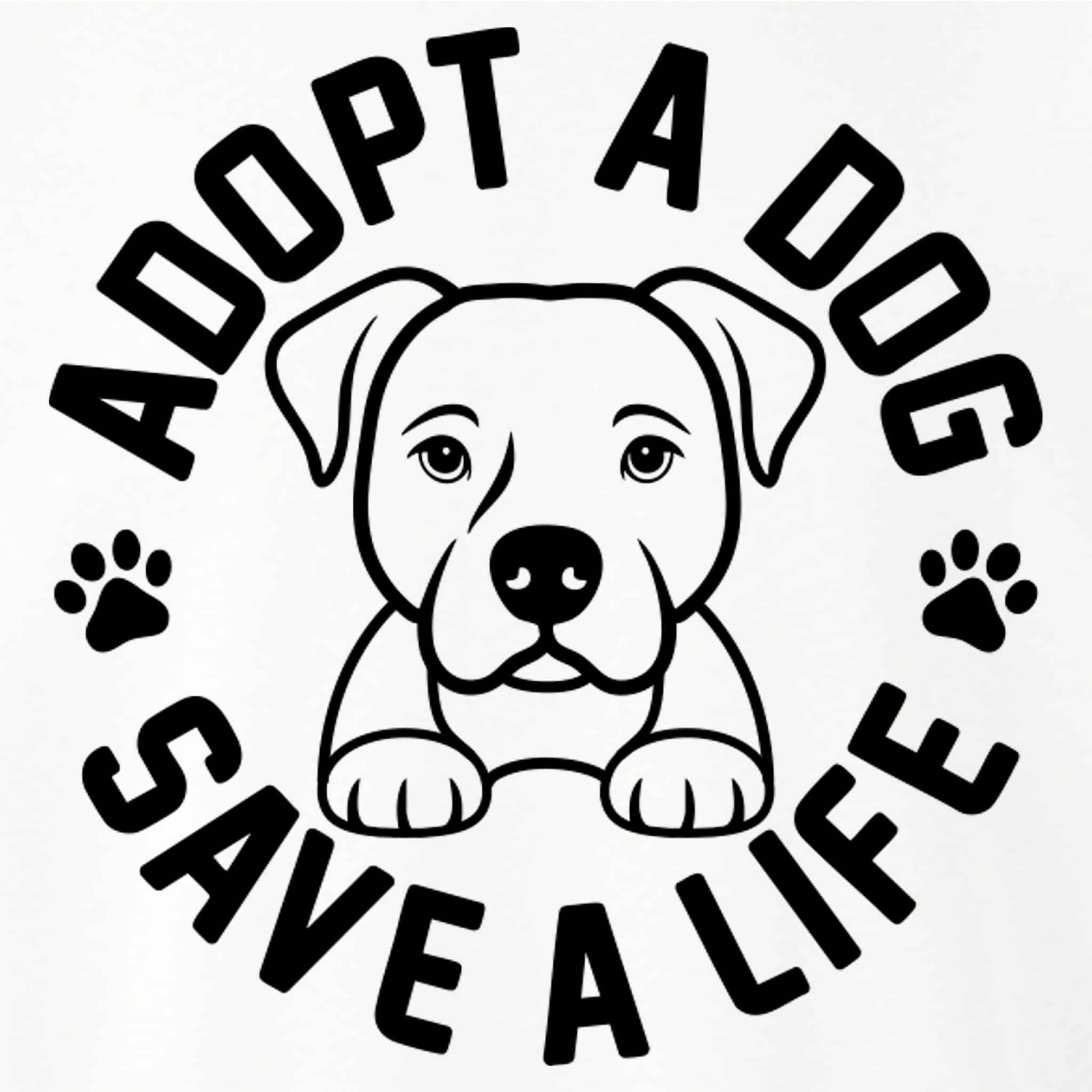 Secondary Product Image