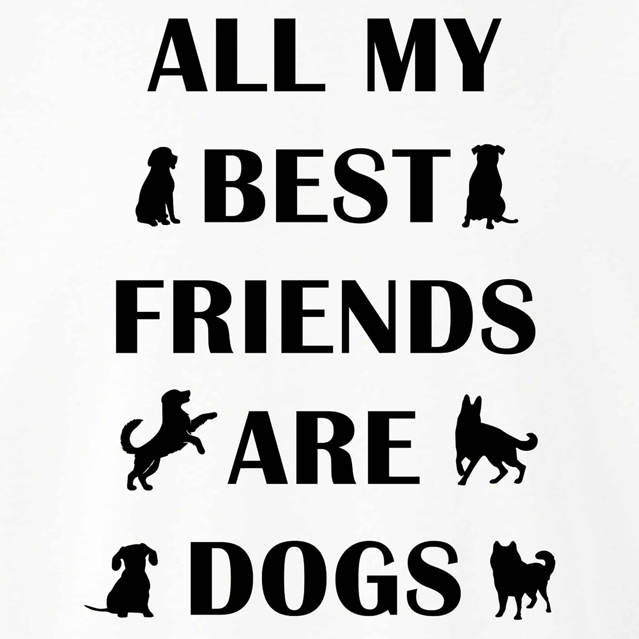 Secondary Product Image