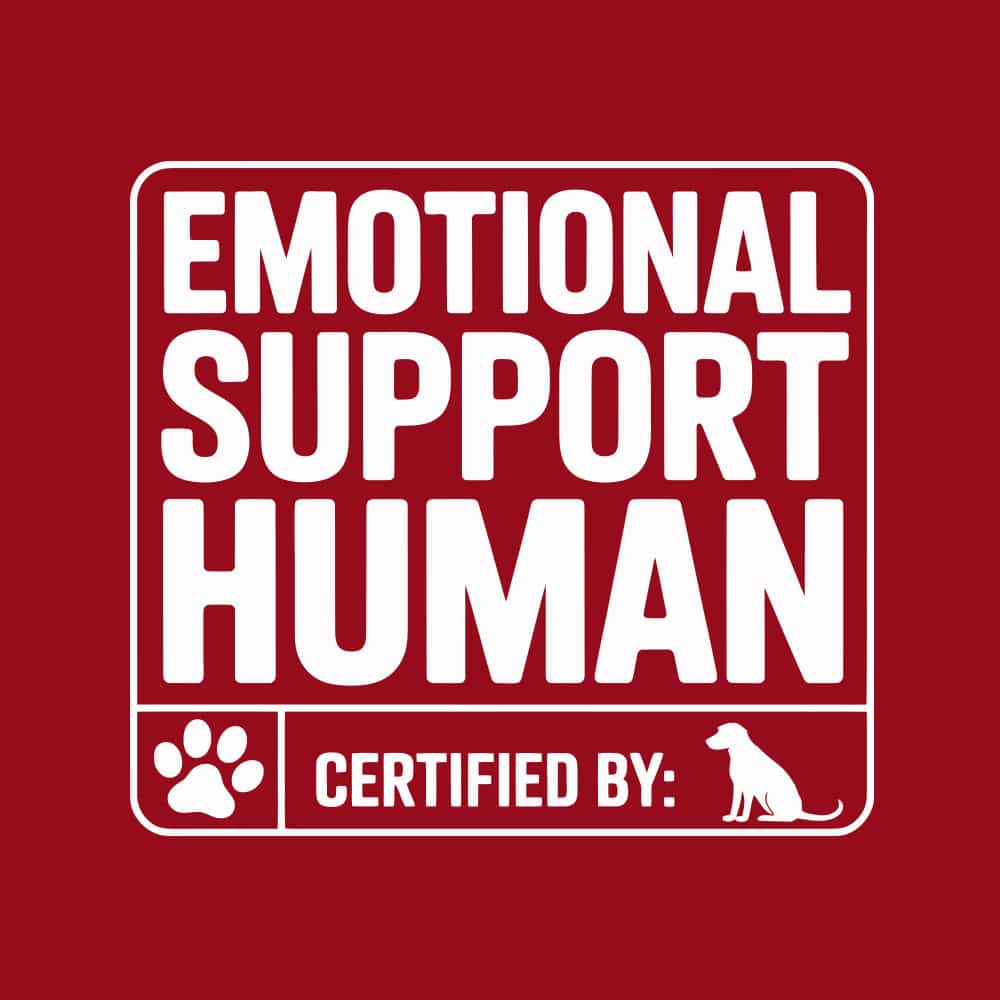 Secondary Product Image