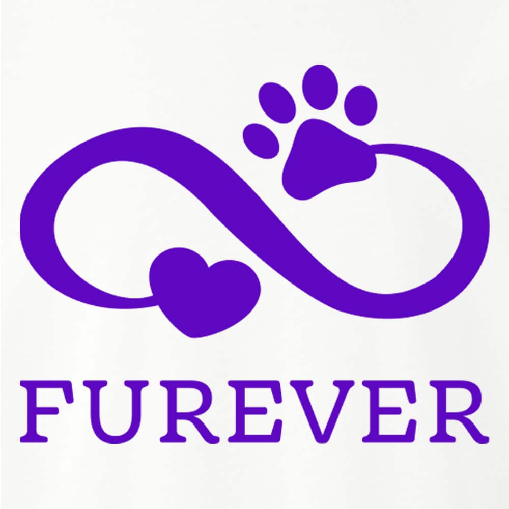 Secondary Product Image