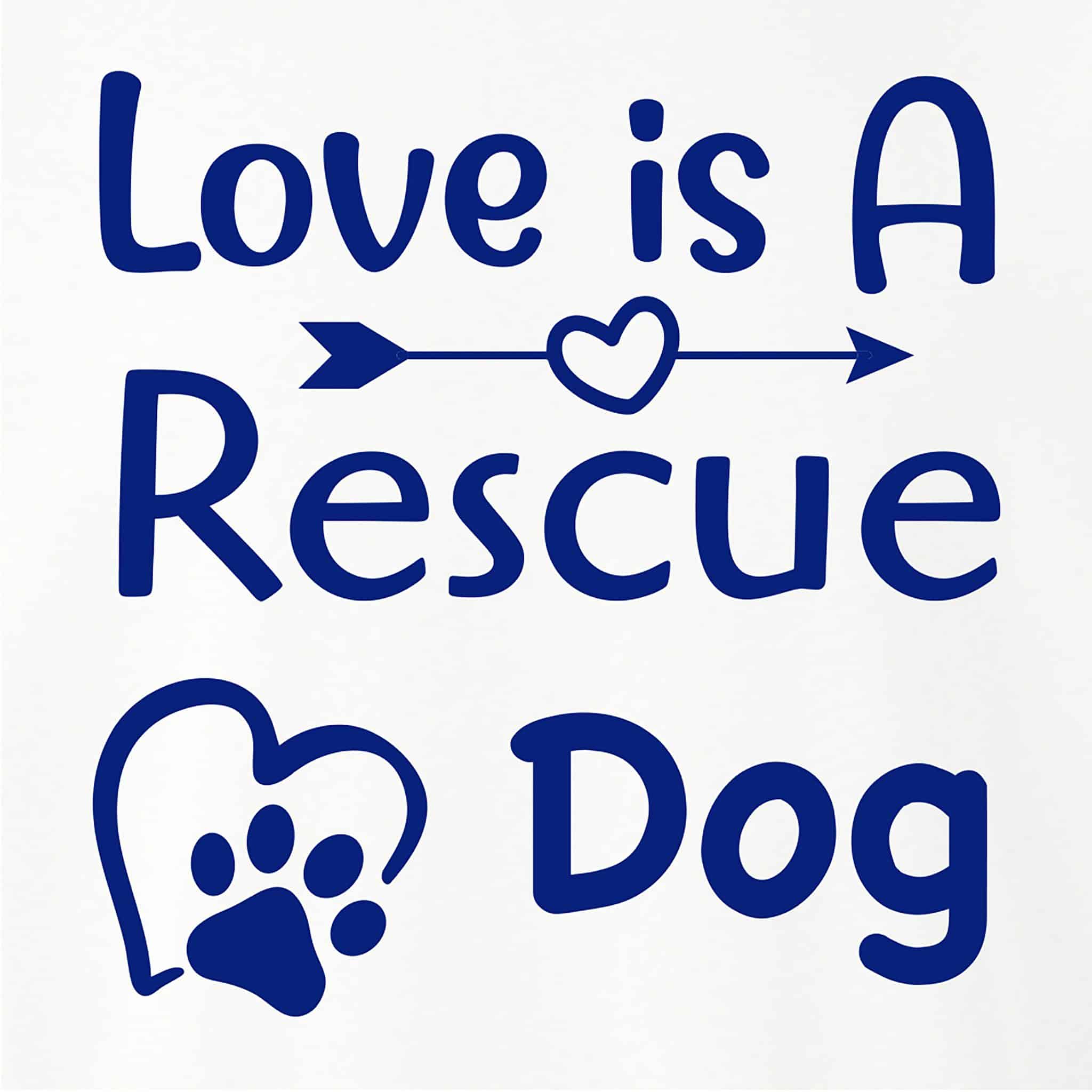 Secondary Product Image