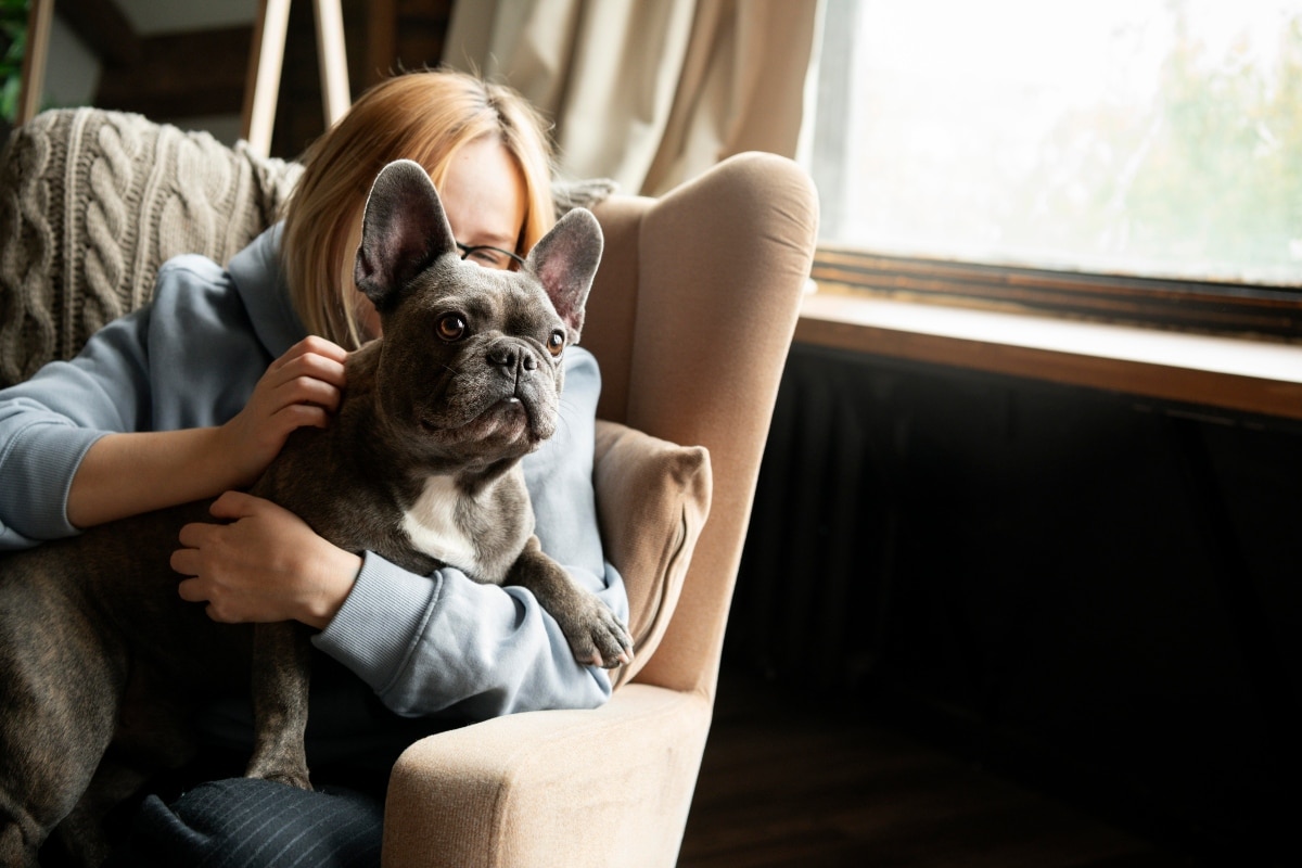 French Bulldog snuggled up next to its owner, exuding warmth and affection.