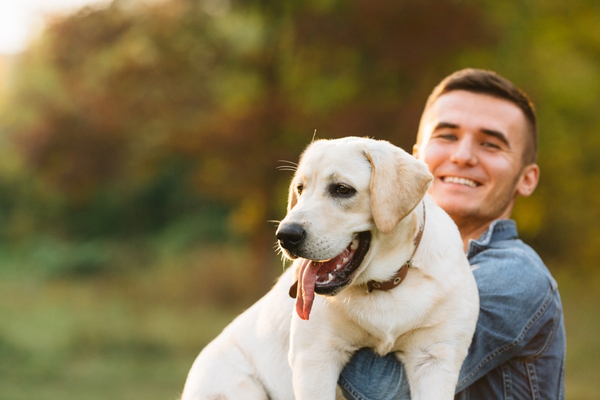 A loving dog gazing softly, radiating warmth and instant emotional connection.