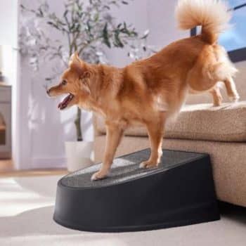 Frisco Plastic Easy Step Cat & Dog Stair, Gray