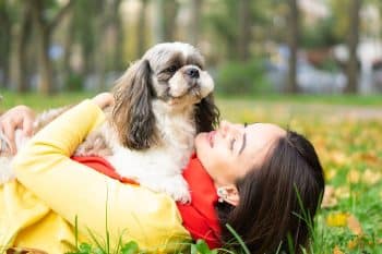 11 Small Dog Breeds That Thrive In Apartment Life - iHeartDogs.com