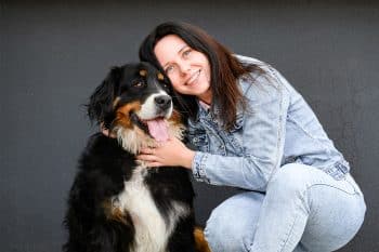 PetWireDaily — 11 Calm Dog Breeds Known For Easygoing Temperaments