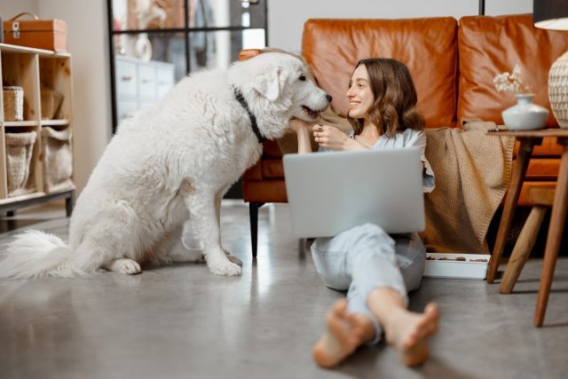 woman-working-home-sitting-with-dog