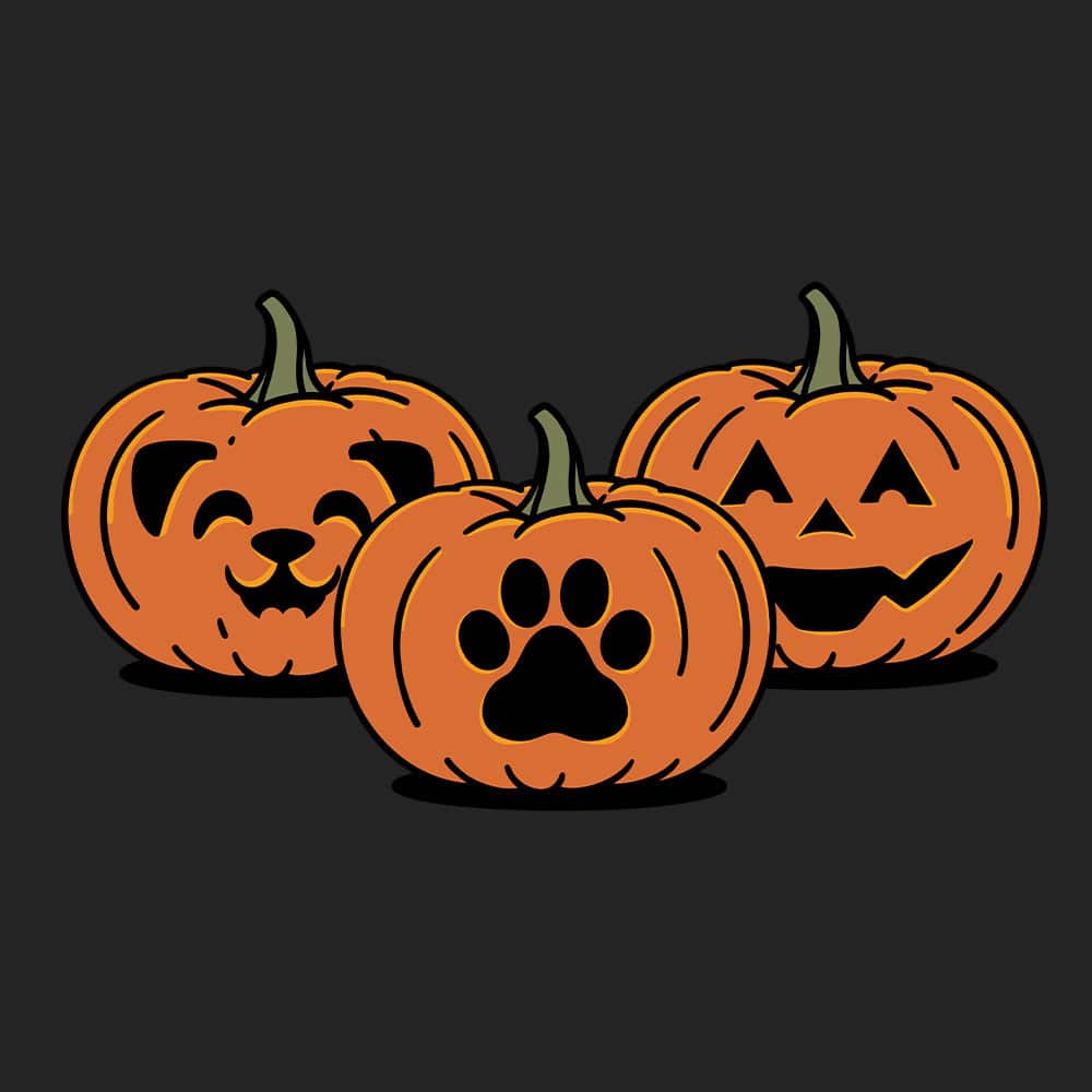 Secondary Product Image