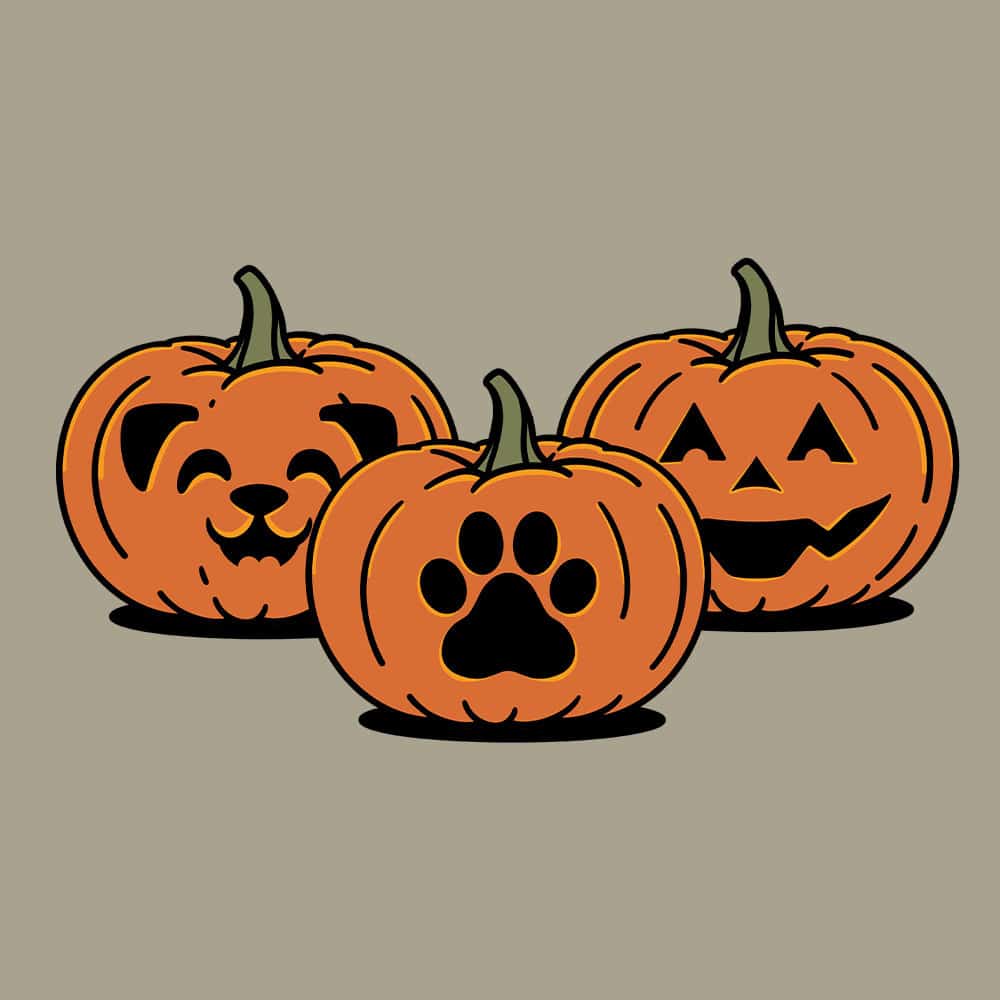 Secondary Product Image