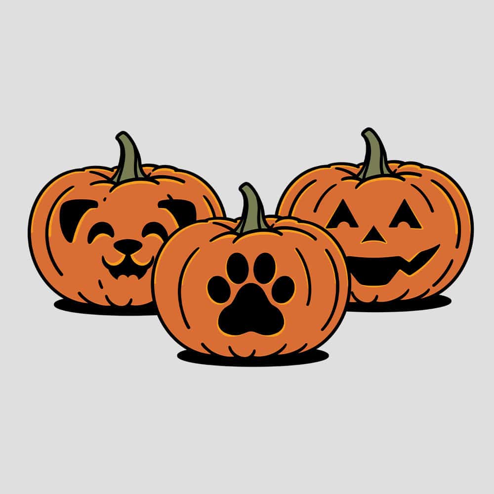 Secondary Product Image