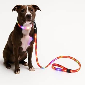 LED Dog Leash - 6ft Light-Up for Evening Walks