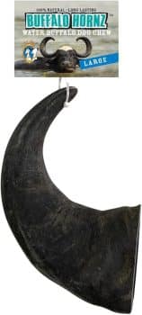 QT Dog Large Water Buffalo Horn Dog Chew