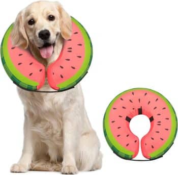 Dog Cone Collar for Small Medium Large Dogs for After Surgery