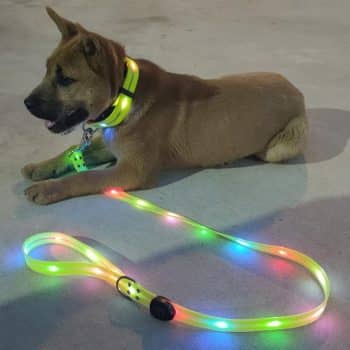 LED Light Up Dog Leash and Collar
