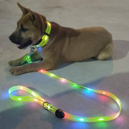 11 Best LED Light Up Dog Leashes for Night Walking - iHeartDogs.com