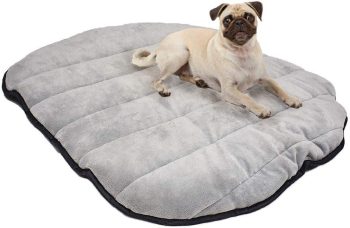 Max and Neo Travel Dog Bed