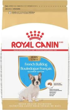 Royal Canin Breed Health Nutrition French Bulldog Puppy Dry Dog Food