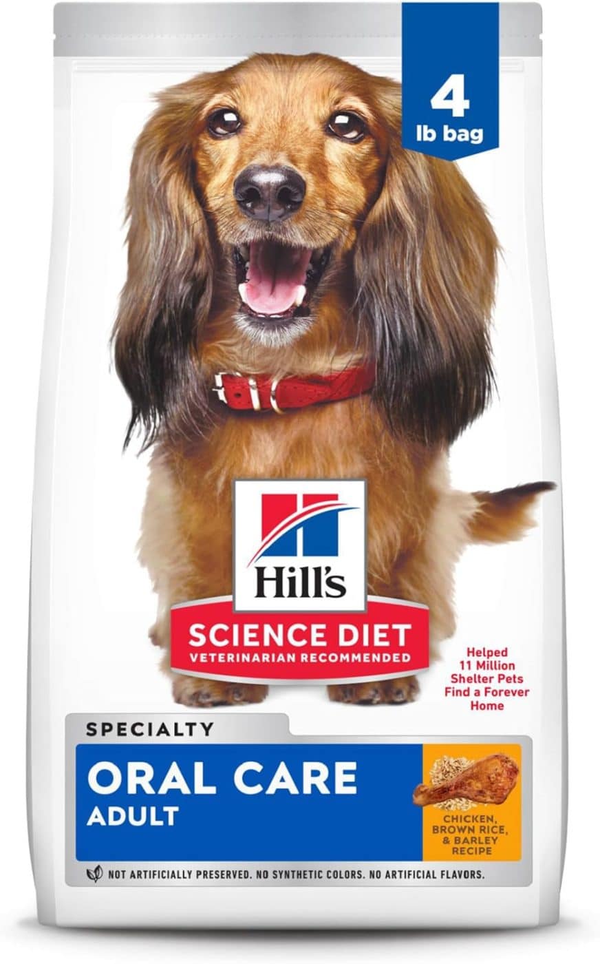 From Funky to Fresh: 15 Dog Dental Products That Actually Work ... - Dog Dental Health Products