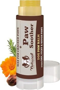 Natural Dog Company Paw Soother Balm