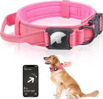 Airtag Dog Collar with Air Tag Holder Case - Reflective Pink Dog Collar