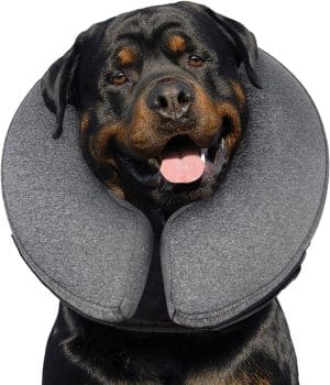 MIDOG Inflatable Dog Cone After Surgery, Donut Collar for X-Large Dogs
