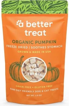 A Better Treat – Freeze Dried Organic Pumpkin Dog and Cat Treats