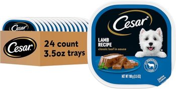 Cesar Classic Loaf in Sauce Adult Wet Dog Food