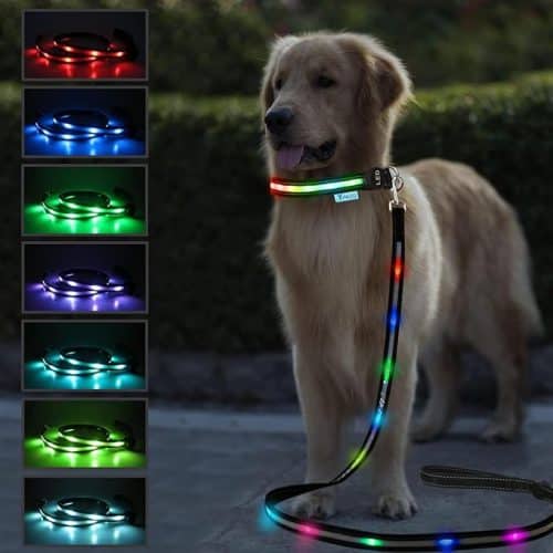 View of 11 Best LED Light Up Dog Leashes for Night Walking - iHeartDogs.com