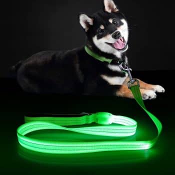 ChalkLit Led Dog Leash, 4 Ft Light Up Soft Rechargeable Dog Leash