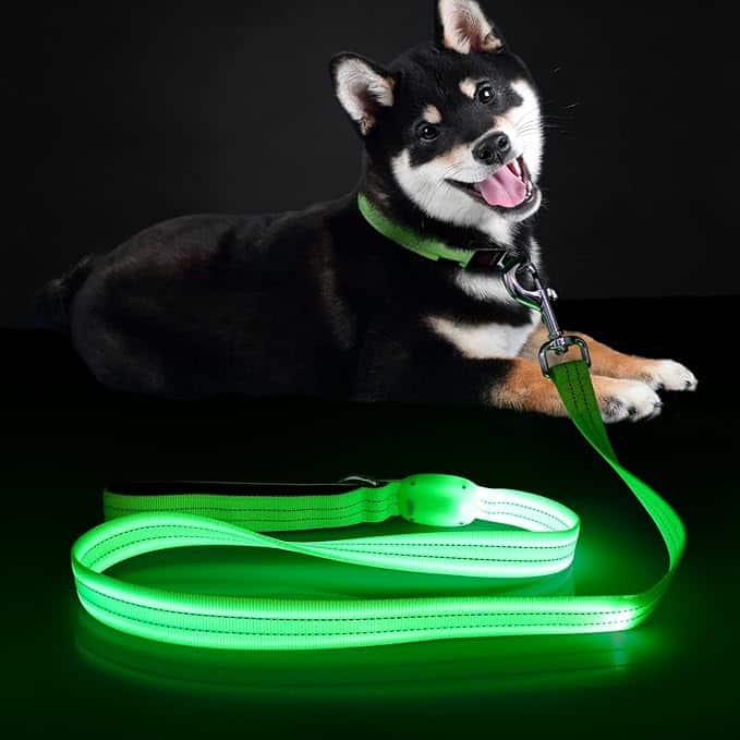 11 Best LED Light Up Dog Leashes for Night Walking - iHeartDogs.com - Pet Safe Led Dog Walking Leashes For Evening Strolls