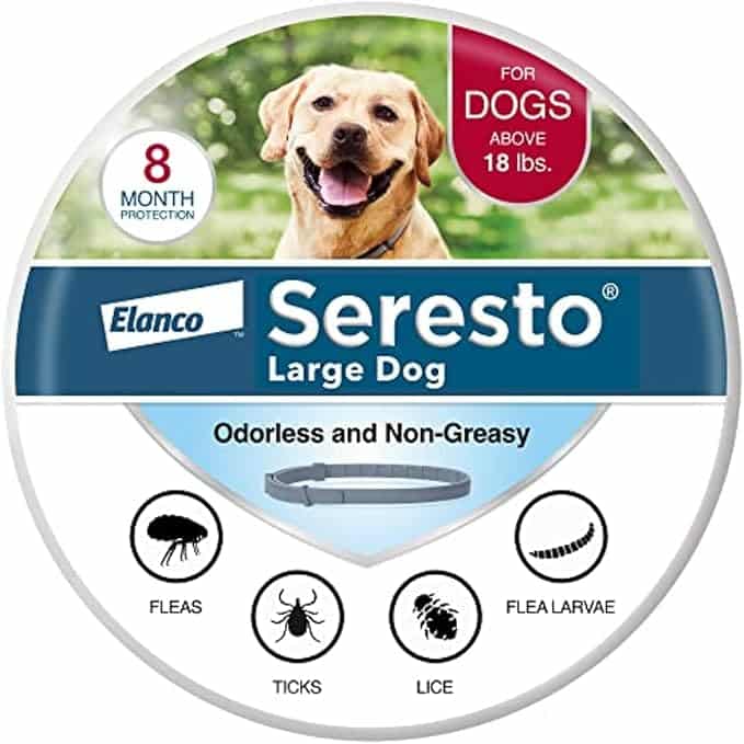 View of The 6 Best Flea and Tick Collar for Dogs - iHeartDogs.com
