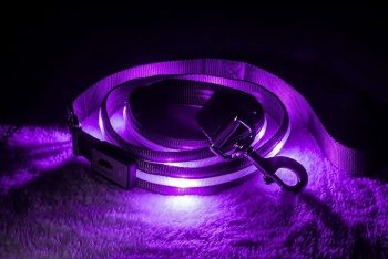 BLAZIN Light Up Dog Leash LED