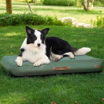 
ABCPET Outdoor Inflatable Dog Bed