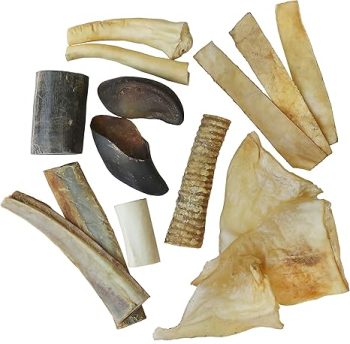Water Buffalo Bone Assortment – 15 Pack
