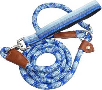 Canopus pet 4FT Slip Leash for Large Dogs