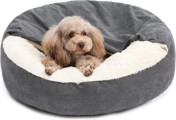 PELZIN Small Dog Bed for Extra Small Dogs