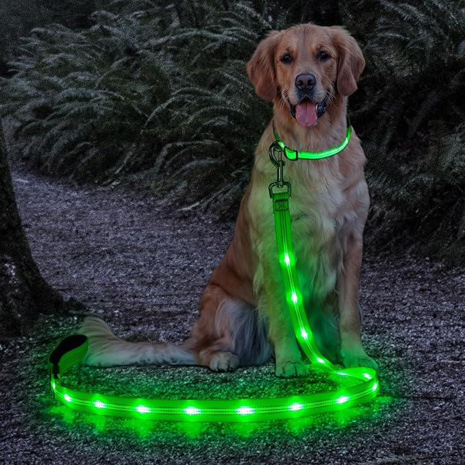 11 Best LED Light Up Dog Leashes for Night Walking - iHeartDogs.com - Pet Safe Led Dog Walking Leashes For Evening Strolls