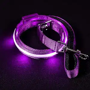 BLAZIN Light Up Dog Leash 