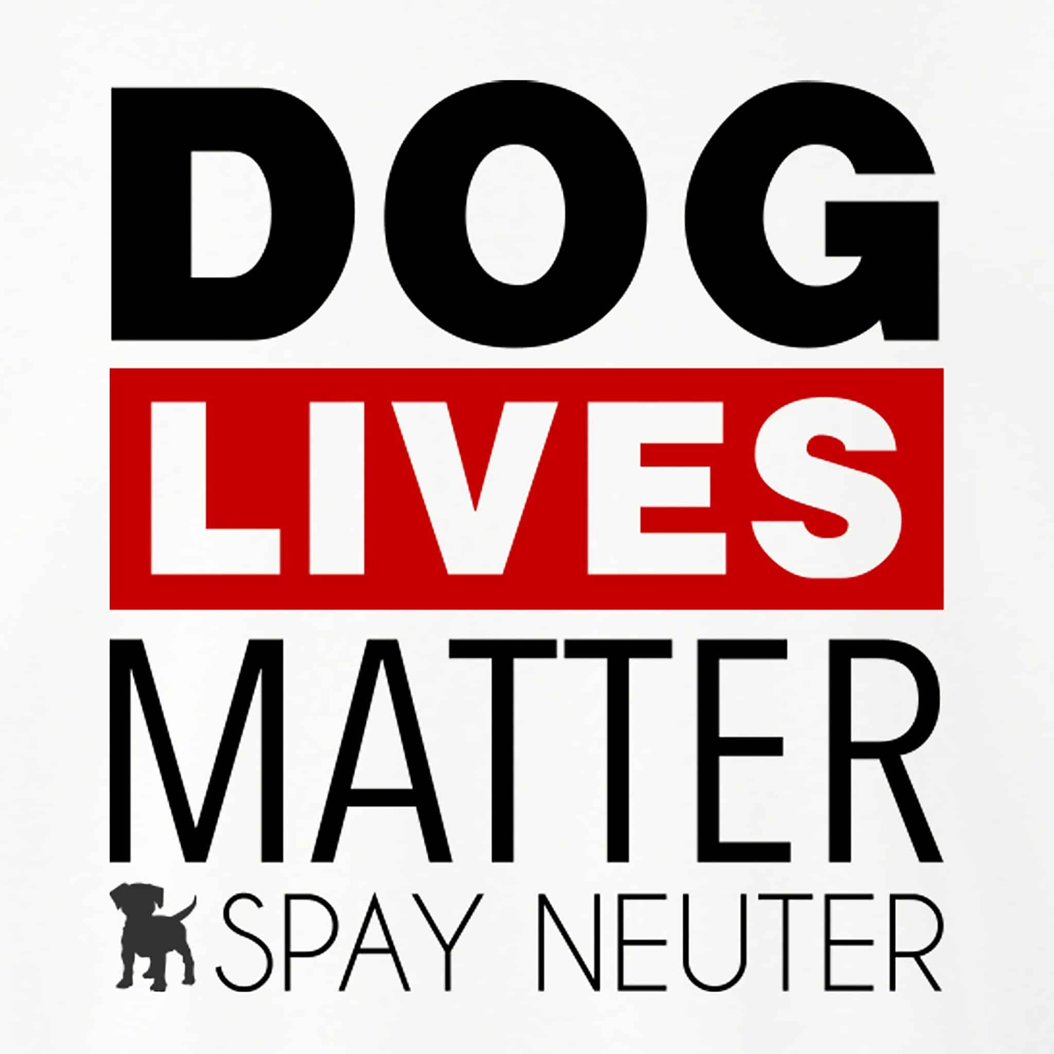 Secondary Product Image