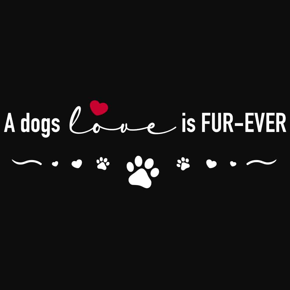 Secondary Product Image