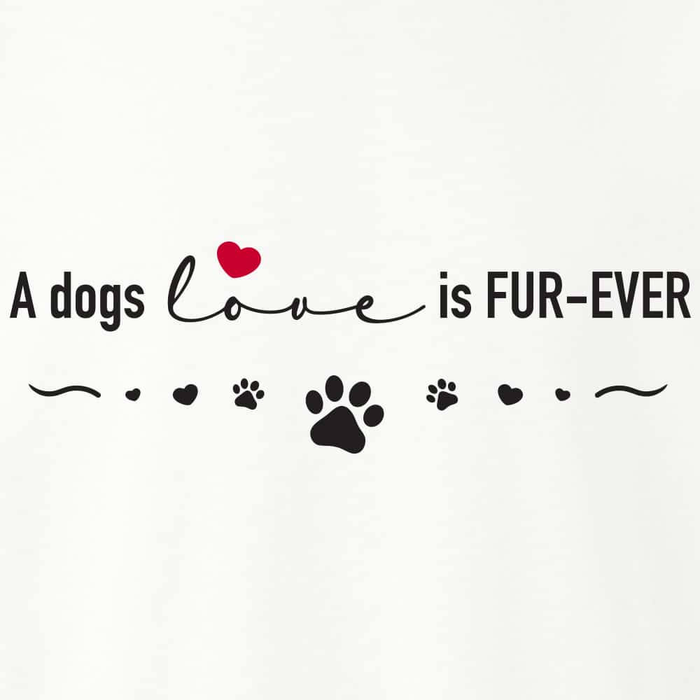 Secondary Product Image