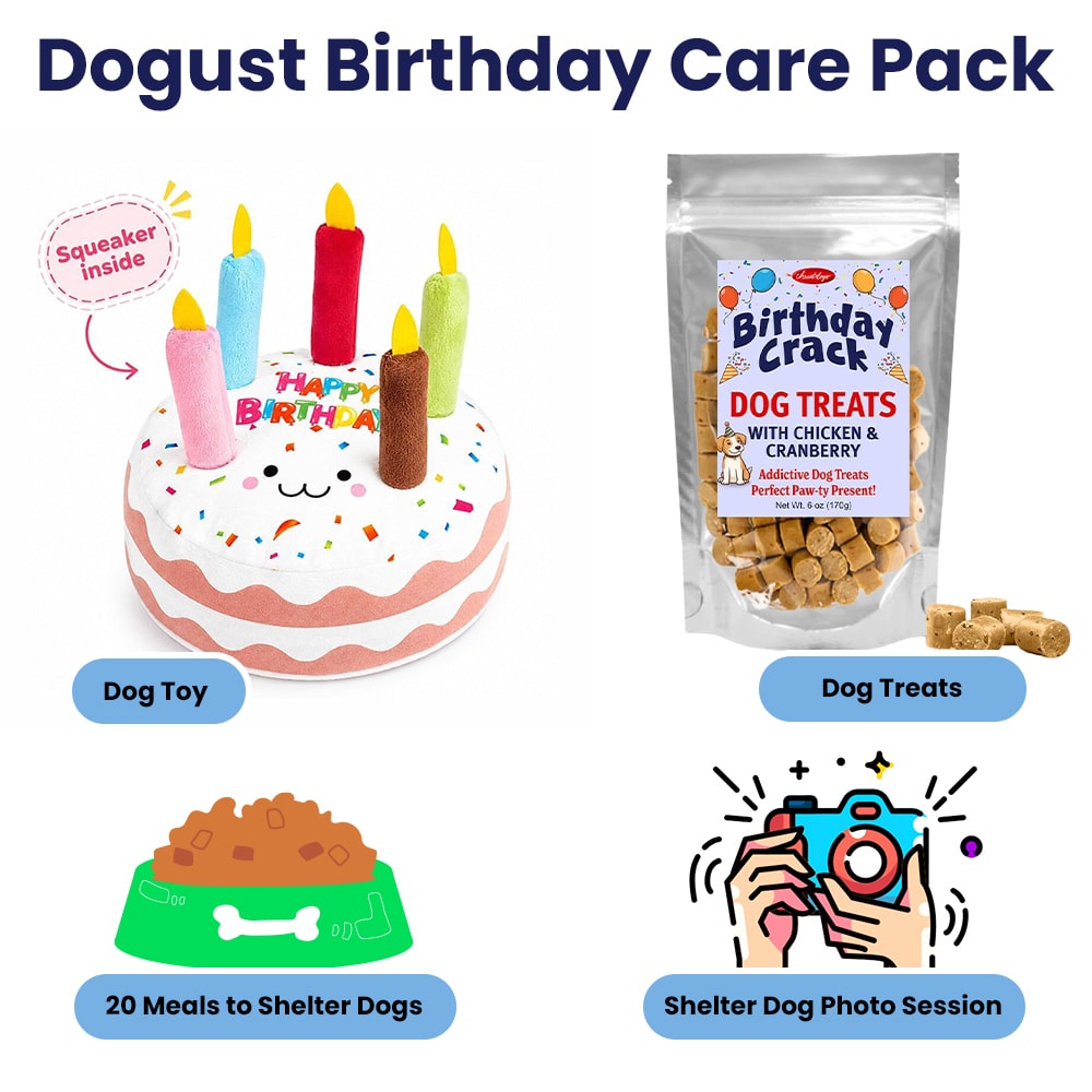 Dogust Care Package Campaign